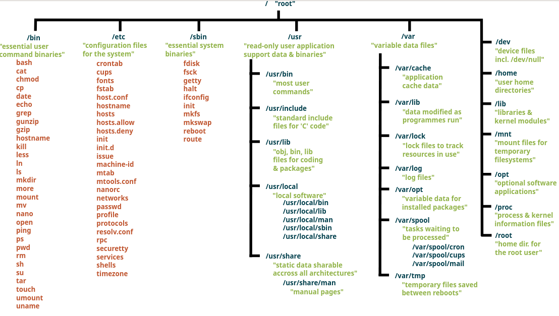 linux-directory-struct.png